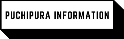 PUCHIPURA information（プチプラ インフォメーション）